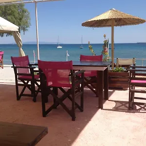 https://kefalonia-beach-hotel-bungalows.kefaloniahotels.net